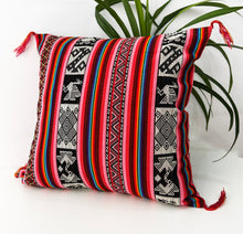 Load image into Gallery viewer, Coral Chinchero cushion cover